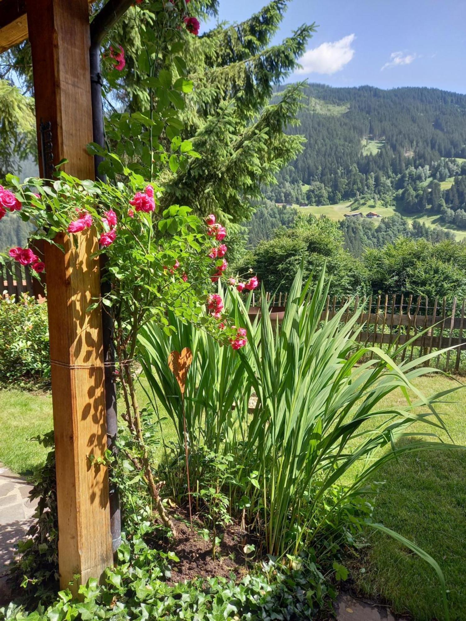 Aparthaus Am Walde & Appartement Sonnenseite 巴特罗马贝格 外观 照片